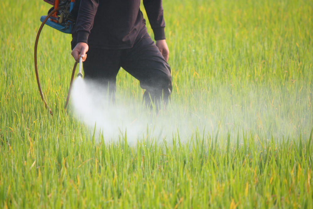 Pestizide schädigen Kinderlungen wie Zigarettenrauch. Bild: Narong Jongsirikul - fotolia