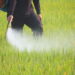 Pestizide schädigen Kinderlungen wie Zigarettenrauch. Bild: Narong Jongsirikul - fotolia