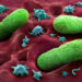 Antibiotika schaden der Darmflora und erhöhen so die Anfälligkeit für Infektionen. (Bild: psdesign1/fotolia.com)