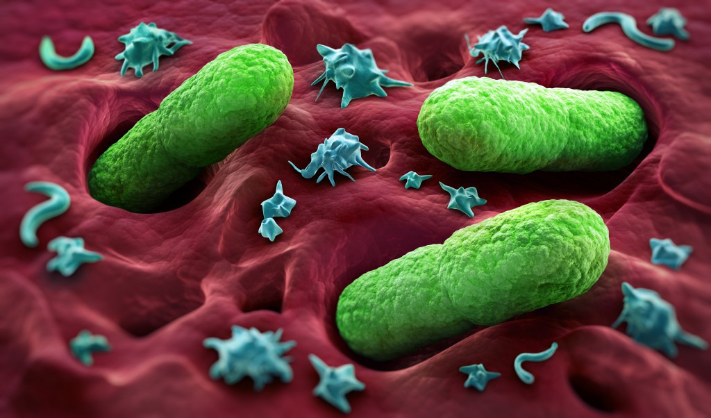 Antibiotika-Darmflora-schädigen