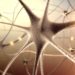 Mit der Neurofeedback-Therapie können ADHS-Patienten bestimmte Regionen ihres Gehirns trainieren. (Bild: BillionPhotos.com/fotolia.com)