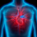 Bei einer krankhaften Verdickung des Herzmuskels ist das Risiko eines plötzlichen Herztodes deutlich erhöht. (Bild: psdesign1/fotolia.com)