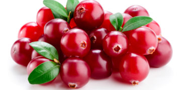 Cranberrys schützen die Blase. Bild: Tim UR - fotolia