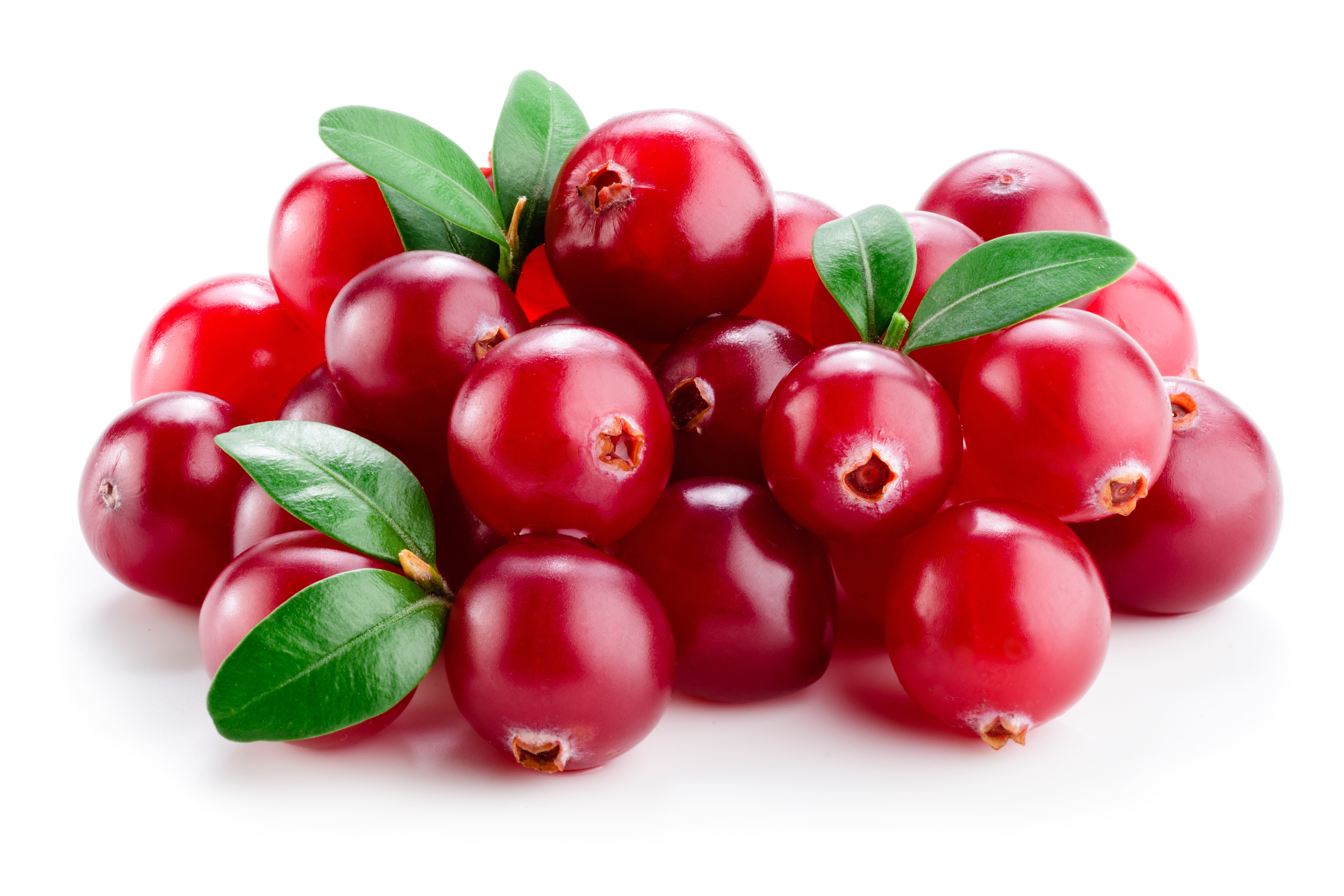 Cranberry Saft, Kapseln oder Früchte pur – Heilpraxis