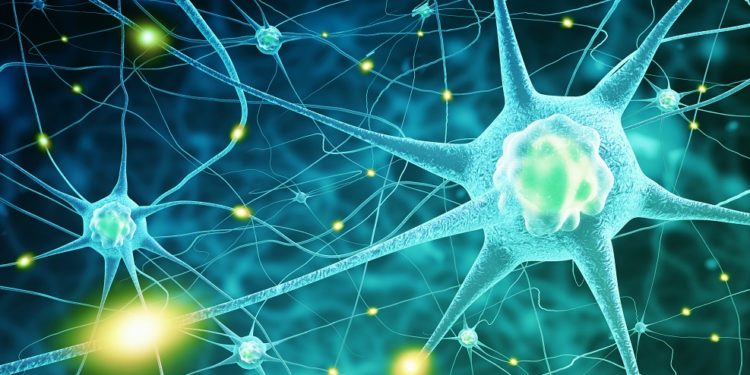 Menschliches Gehirn Zugriff Auf Erinnerungen Extrem Schnell Heilpraxis