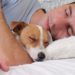 Hunde können Emotionen der Menschen fühlen. Bild: glisic_albina - fotolia