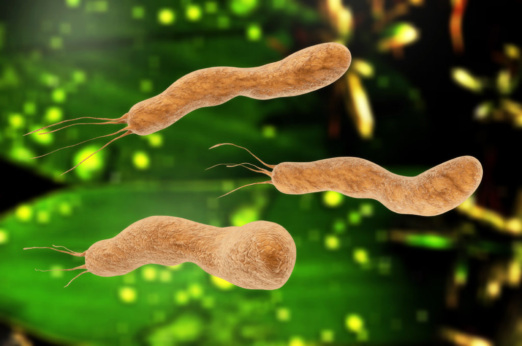 Infektionen mit Helicobacter pylori haben im menschlichen Organismus auch positive Effekte. (Bild: fotoliaxrender/fotolia.com)