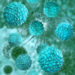 Norovirus-Infektionen verursachen heftige Magen-Darmbeschwerden, doch bei gründlicher Hygiene lassen sich gut vermeiden. (Bild: fotoliaxrender/fotolia.com)