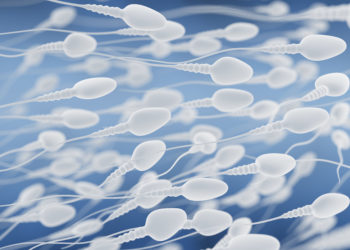 Spermien aus Stammzellen konzipiert. Bild: Tatiana Shepeleva - fotolia