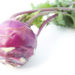 Kohlrabi ist ein besonders gesundes Gemüse, wobei sich grüne und violette Sorten allerdings leicht im Geschmack unterscheiden. (Bild: photolabo39/fotolia.com)