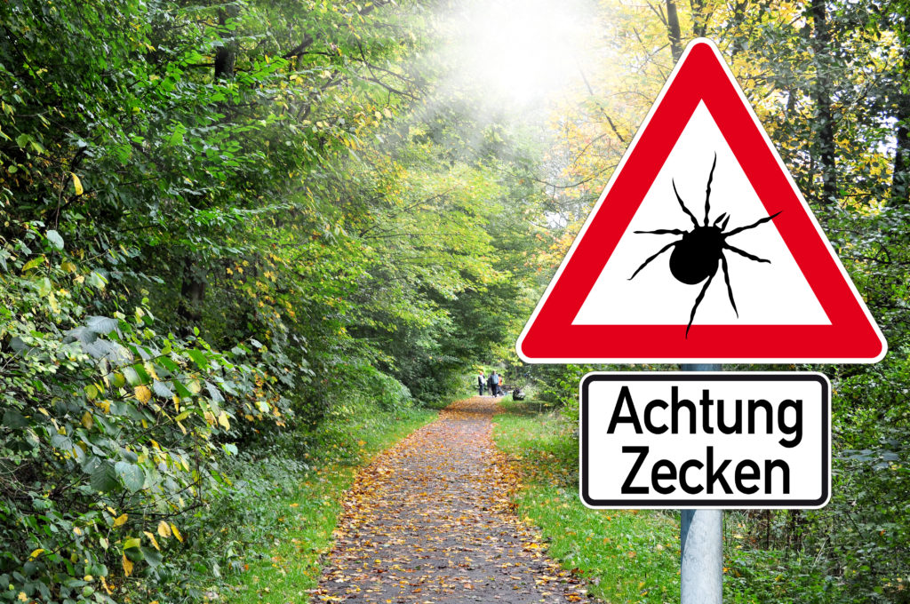 Achtung Zecken. Bild: stockWERK - fotolia