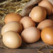 Die richtige Lagerung von Eiern. Bild: iprachenko - fotolia