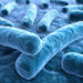 Forscher haben einen neuen Faktor bei der Vermehrung und Verbreitung von Legionellen entdeckt.(Bild: psdesign1/fotolia.com)