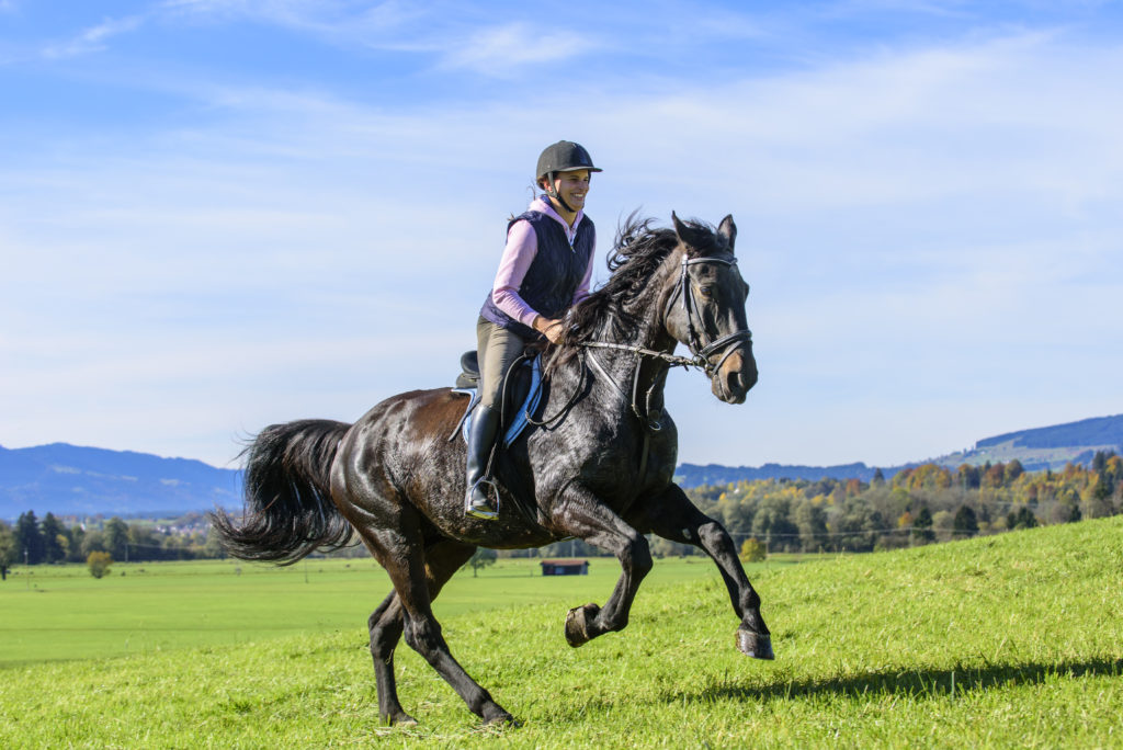 Reiten eignet sich nicht nur für einen Ausflug ins Grüne, sondern auch als Gesundheitssport. Auf dem Pferd ist der ganze Körper gefordert. (Bild: ARochau/fotolia.com)