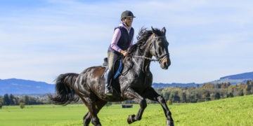 Reiten eignet sich nicht nur für einen Ausflug ins Grüne, sondern auch als Gesundheitssport. Auf dem Pferd ist der ganze Körper gefordert. (Bild: ARochau/fotolia.com)