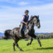 Reiten eignet sich nicht nur für einen Ausflug ins Grüne, sondern auch als Gesundheitssport. Auf dem Pferd ist der ganze Körper gefordert. (Bild: ARochau/fotolia.com)