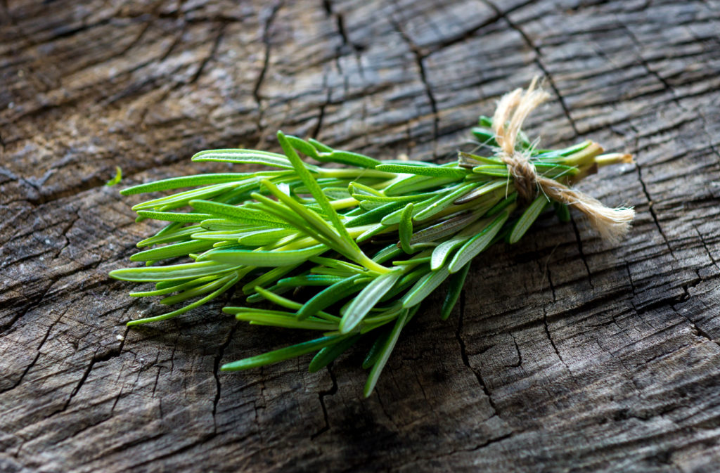 Wissenschaftler fanden heraus, dass das Aroma von Rosmarin die Leistung unseres Gedächtnisses verbessert. Gerade ältere Menschen können sich durch den Duft der Pflanze besser erinnern. (Bild: Dani Vincek/fotolia.com)