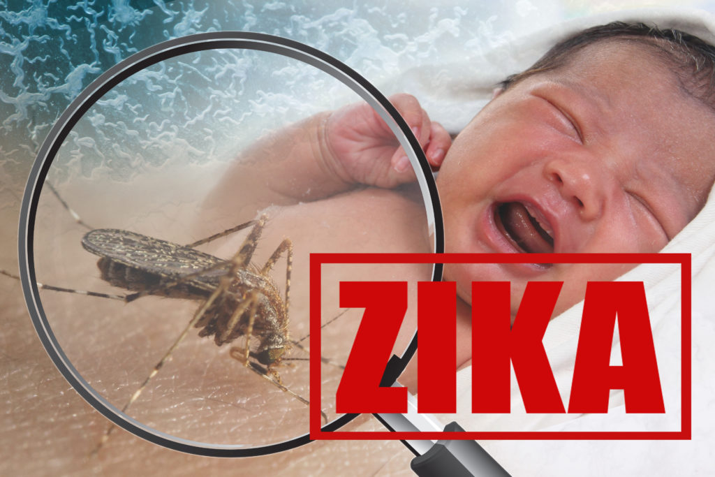 Eine Infektion mit dem Zika-Virus während der Schwangerschaft kann zu Schädelfehlbildungen beim ungeborenen Kind führen. (Bild: airdone/fotolia.com)