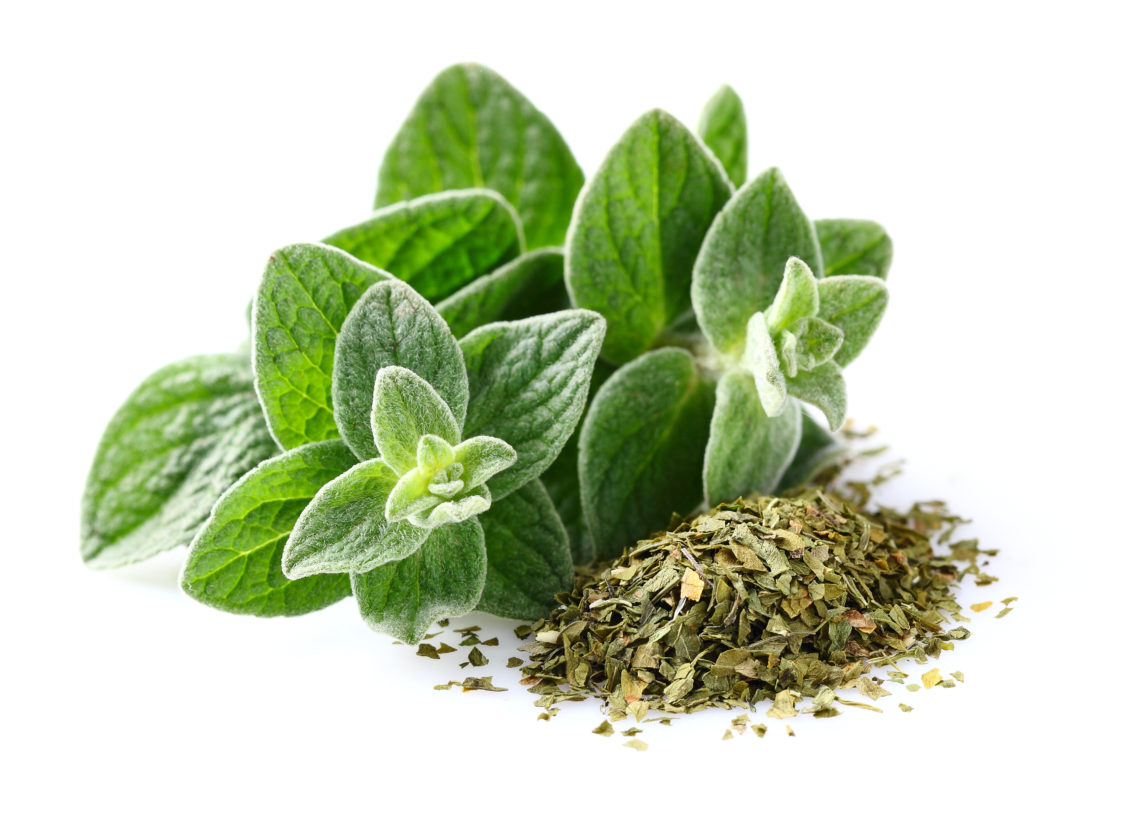 Gewürze Oregano Beim Trocknen verstärkt sich das Aroma Heilpraxis