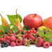 Obst ist bekanntlich gesund. Der Konsum von viel Obst in der Jugend kann sogar helfen, Krebserkrankungen im gehobenen Alter zu verhindern. Gerade junge Mädchen sollten viel Obst essen, um sich vor Brustkrebs zu schützen. (Bild: NataliTerr/fotolia.com)