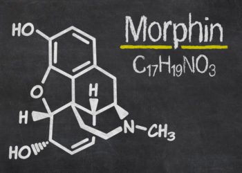 Opioidhaltige Schmerzmittel wie Morphin haben bei Ratten bereits nach kurzer Anwendung eine Zunahme der Schmerzen zur Folge. (Bild: Zerbor/fotolia.com)