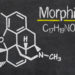 Opioidhaltige Schmerzmittel wie Morphin haben bei Ratten bereits nach kurzer Anwendung eine Zunahme der Schmerzen zur Folge. (Bild: Zerbor/fotolia.com)