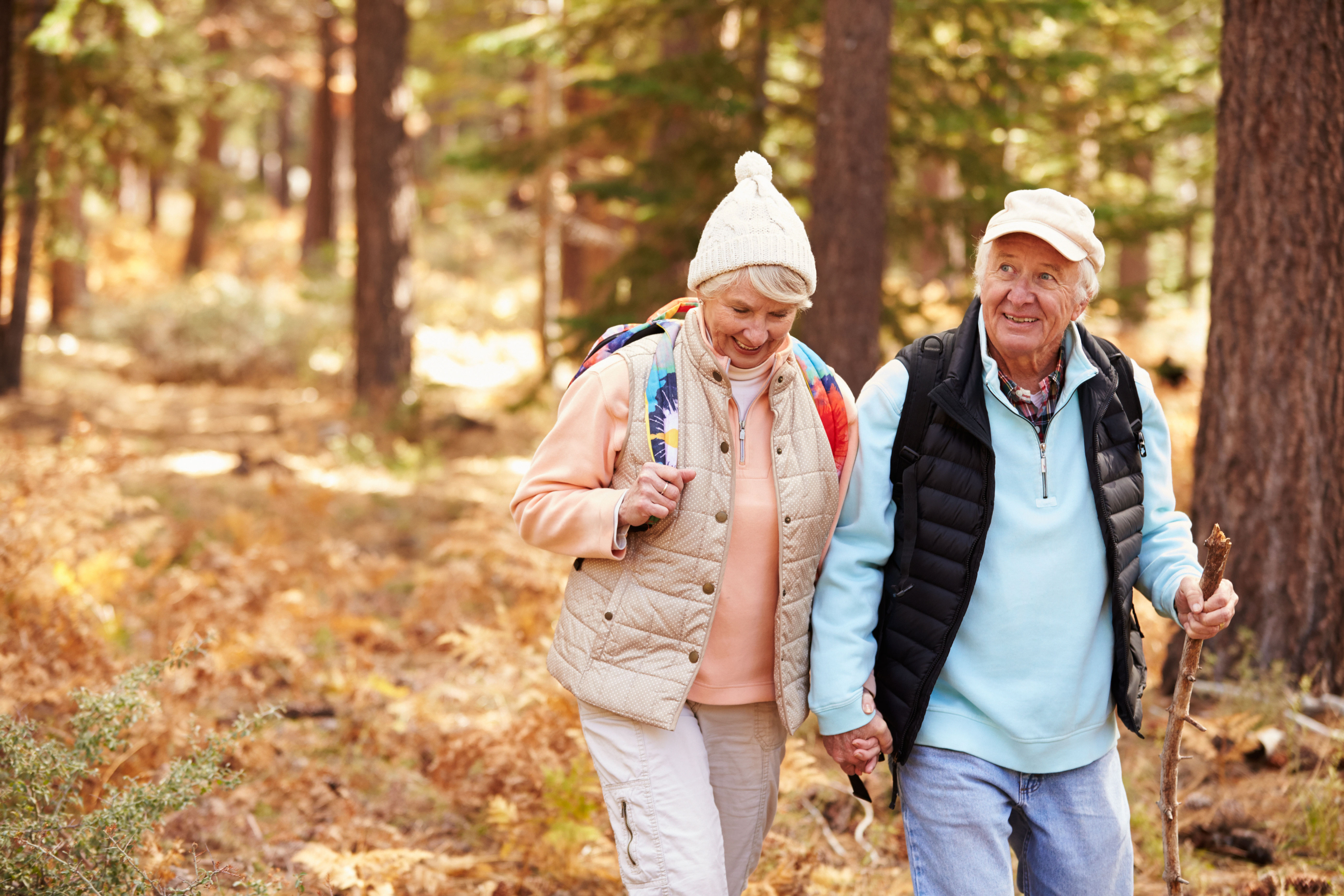 Пенсионеры осенью. Пожилые люди. Пешие прогулки пожилых. Прогулка в лесу. Пенсионеры на прогулке.