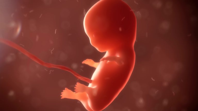 Schwangerschaftsabbruch: Zahl der Abtreibungen in armen Ländern hoch ...