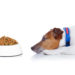 Trockenfutter ist bei vielen Hundebesitzern sehr beliebt. Für gutes Futter muss einem aktuellen Test zufolge nicht viel Geld ausgegeben werden. (Bild: javier brosch/fotolia.com)