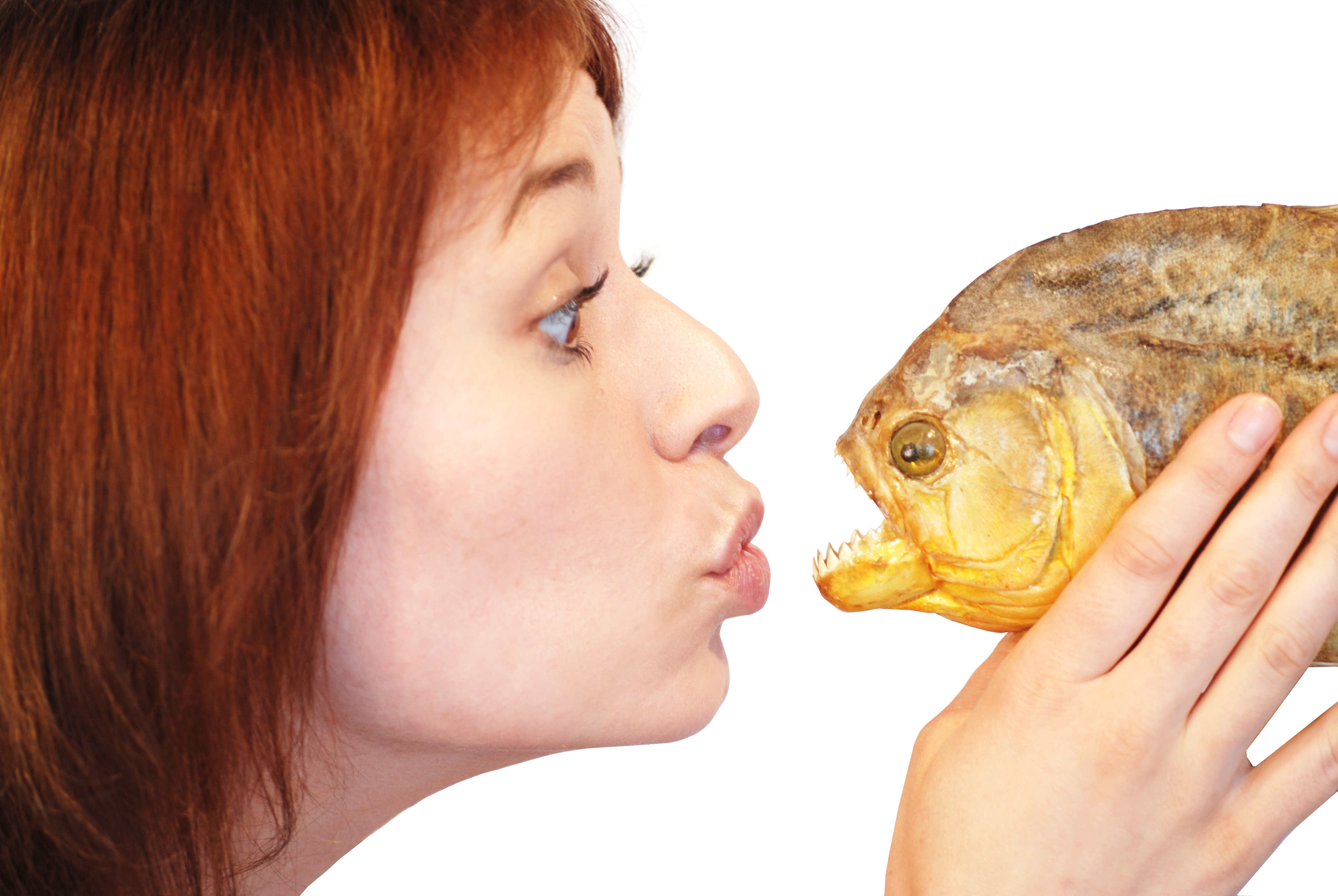Tier mensch sex mit Freies Tiergeschlecht,
