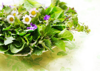 Essbar und Heilend: Gesunde Wildkräuter. Bild:: Annett Seidler - fotolia