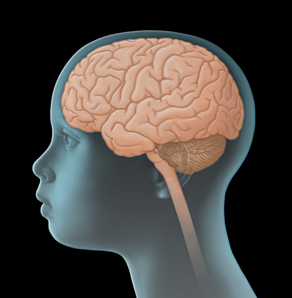 Forscher entdeckten bei einer Untersuchung, dass eine bestimmte Varaiante eines Gens bei Kindern Veränderungen im Gehirn verursacht. Dieses Gen erhöht im späteren Leben auch das Risiko für eine Alzheimererkrankung. (Bild: lom123/fotolia.com)