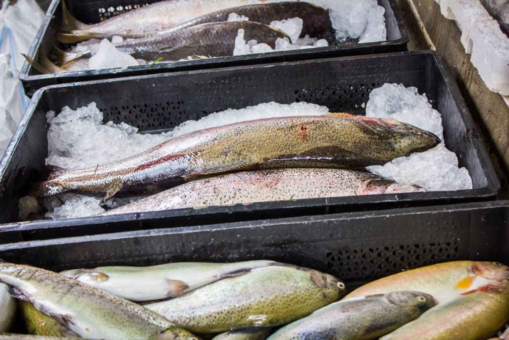 Wird Fisch zu warm gelagert, drohen nach dem Verzehr gesundheitliche Gefahren. Gekaufte Ware sollte daher immer gekühlt nach Hause gebracht werden. Was aber wenn der Kauf online erfolgt? (Bild: milkare/fotolia.com)