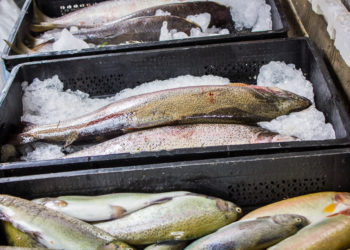 Wird Fisch zu warm gelagert, drohen nach dem Verzehr gesundheitliche Gefahren. Gekaufte Ware sollte daher immer gekühlt nach Hause gebracht werden. Was aber wenn der Kauf online erfolgt? (Bild: milkare/fotolia.com)