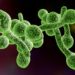 Invasive Infektionen mit Candida albicans enden bislang oftmals tödlich. Mit einer neuen Behandlungsmethode hoffen Forscher in Zukunft zahlreiche dieser Todesfälle zu vermeiden. (Bild: Dr_Kateryna/fotolia.com)