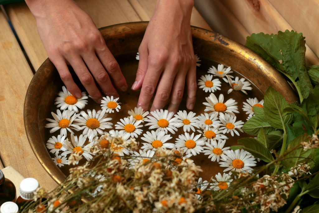 Ein Fingerbad auf Basis von Kamillenblüten wirkt der Entzündung des Nagelbettes entgegen. (Bild: alexkich/fotolia.com)