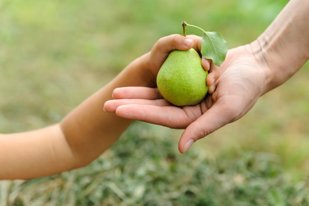 Kinder sollten, wie auch Erwachsene, täglich fünf Portionen Obst und Gemüse zu sich nehmen. Die Größe der Portion richtet sich dabei nach der Größe der Kinderhand. (Bild: yunava1/fotolia.com)