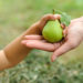Kinder sollten, wie auch Erwachsene, täglich fünf Portionen Obst und Gemüse zu sich nehmen. Die Größe der Portion richtet sich dabei nach der Größe der Kinderhand. (Bild: yunava1/fotolia.com)