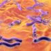 Helicobacter pylori sind äußerst anpassungsfähig. Warum das so ist, haben nun Wissenschaftler aus Hannover heraus gefunden. (Bild: Dr_Kateryna/fotolia.com)