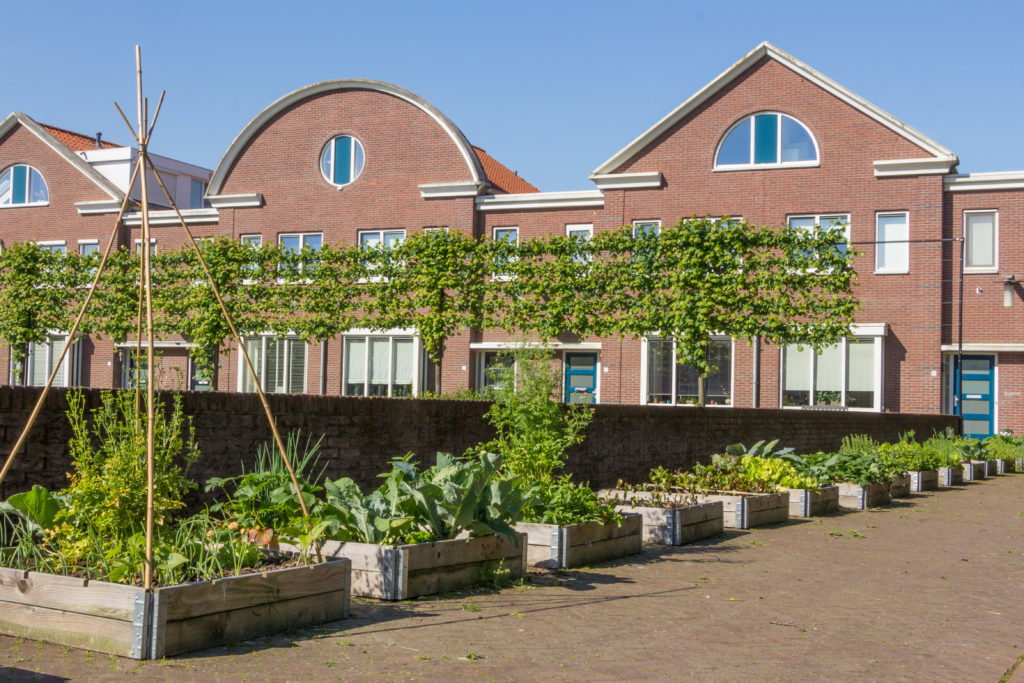 "Urban greening". Die Stadt holt sich ihr Grün zurück. Bild: © HildaWeges - fotolia