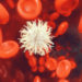 Die US-Aufsicht FDA musste vorübergehend eine klinische Studie zur Tumortherapie mit T-Zellen abbrechen. Zuvor waren drei Probanden während des Projekts gestorben. (Bild: crevis/fotolia.com)