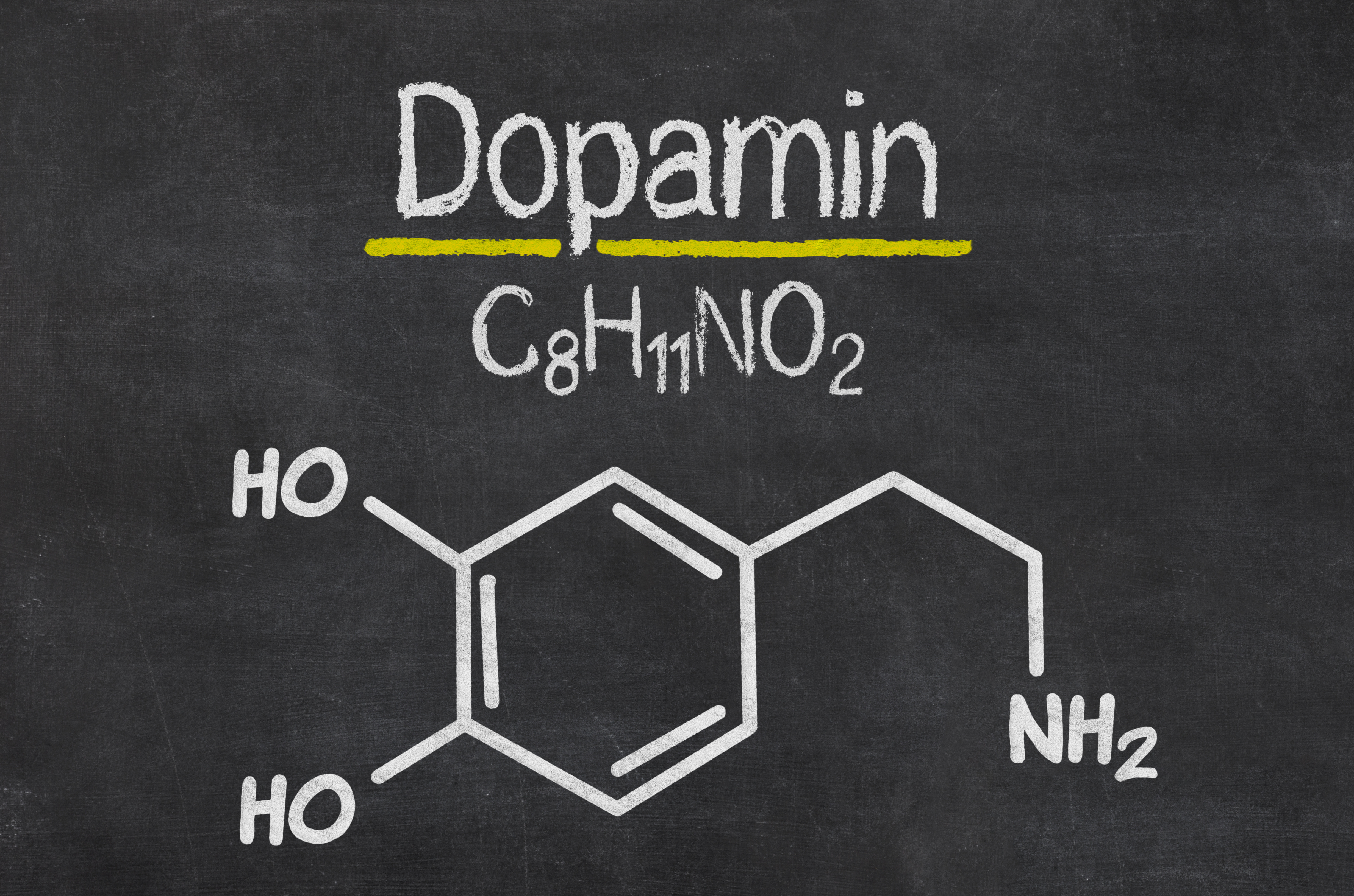 Dopamin Glückshormon