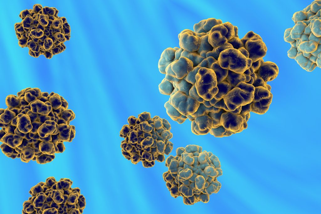 Hepatitis E ist auch in Deutschland vermehrt festzustellen, wobei der Verzehr von rohem Fleisch als wesentlicher Infektionsweg gilt. (Bild: Dr_Kateryna/fotolia.com)