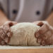 Menschen mit einem Reizdarm bekommen häufig gesundheitliche Probleme und Blähungen, wenn sie Brot zu sich nehmen. Wissenschaftler fanden jetzt heraus, dass längere Gehzeiten des Teiges das Brot wesentlich bekömmlicher machen. (Bild: Stasique/fotolia.com)