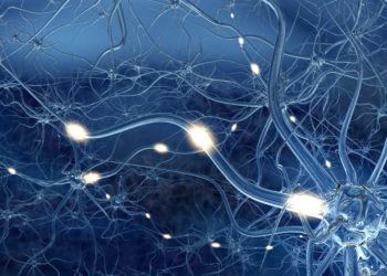Während des Schlafs verringert sich die Aktivität der meisten Synapsen und es wird Platz für neue Inforamtionen geschaffen. (Bild: Sagittaria/fotolia.com)