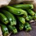 Gesunde Zucchini sind kalorienarm und reich an wichtigen Nährstoffen. Wenn das Gemüse aber auffallend bitter schmeckt, sollte es besser nicht verzehrt werden. (Bild: Lsantilli/fotolia.com)