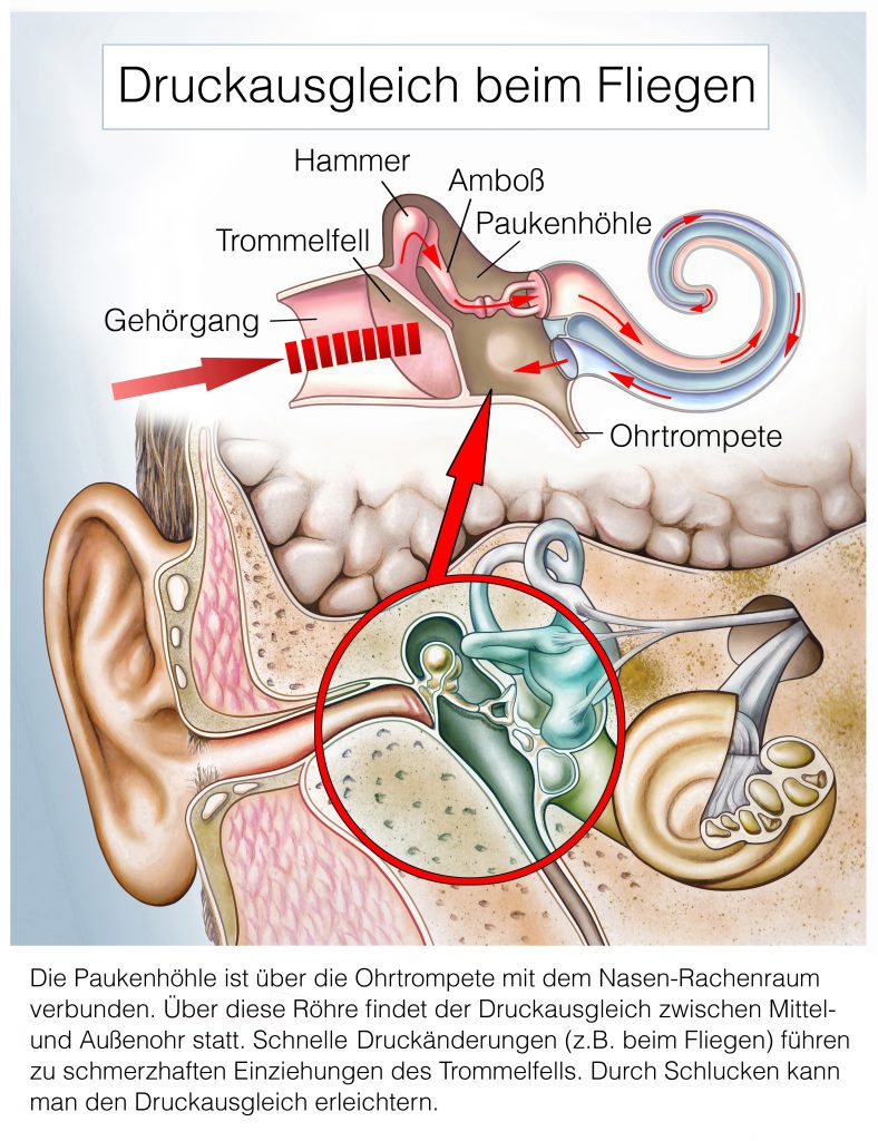 Druckausgleich beim Fliegen. Bild: Henrie- fotolia