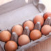 Die Eifrisch-Vermarktung GmbH & Co. KG ruft bestimmte Chargen Bio-Eier zurück. In dem bei Lidl verkauften Produkt wurden Salmonellen entdeckt. (Bild: alexandco/fotolia.com)