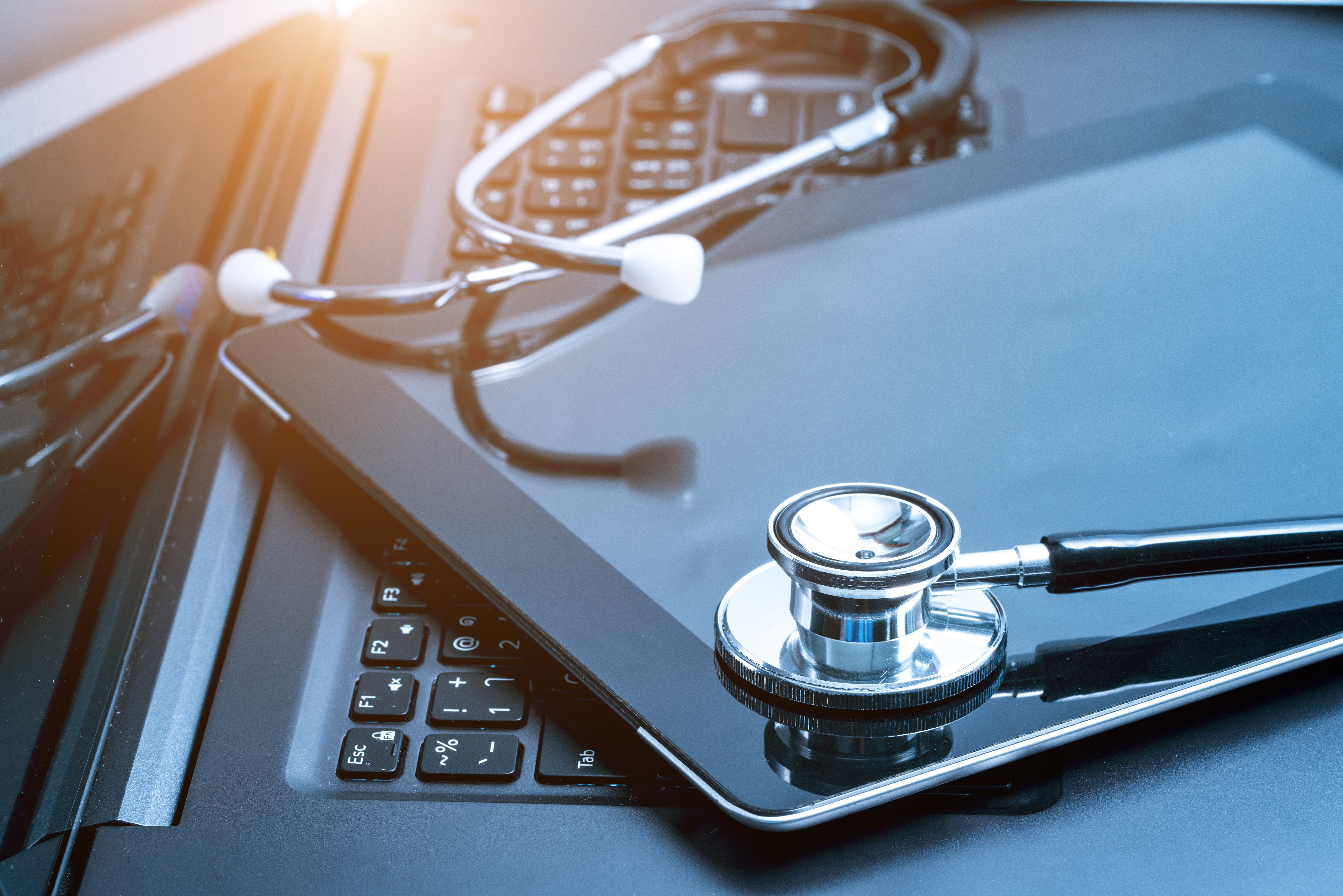 получить текущий url php. Article id. Article id. ларавель как работает. Id типа поля формы.