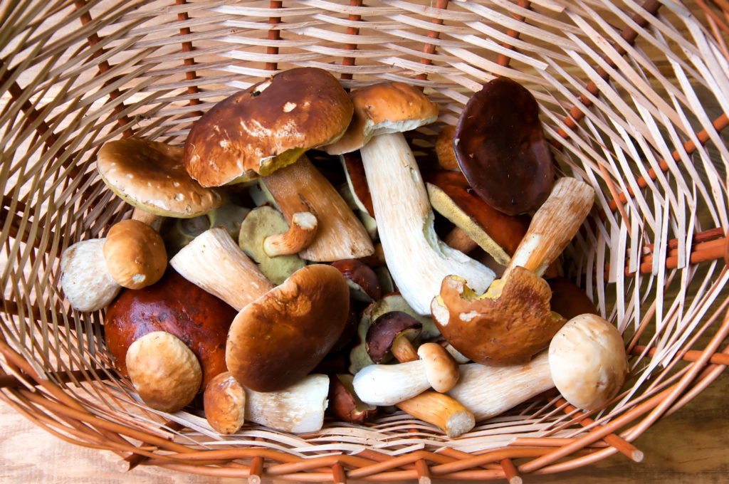 Fresh mushrooms in basket on wooden table